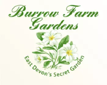 Burrow Farm Gardens attraction, Axminster