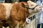Agricultural events Devon Agricultural events Devon