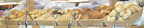 Devon  Businesses