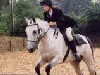 Horse riding lessons Devon